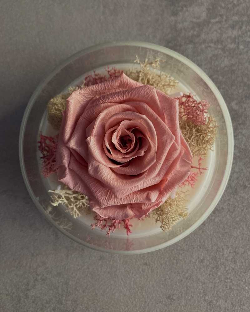 Vista dall’alto candela artigianale in cera vegetale con rosa stabilizzata e muschio