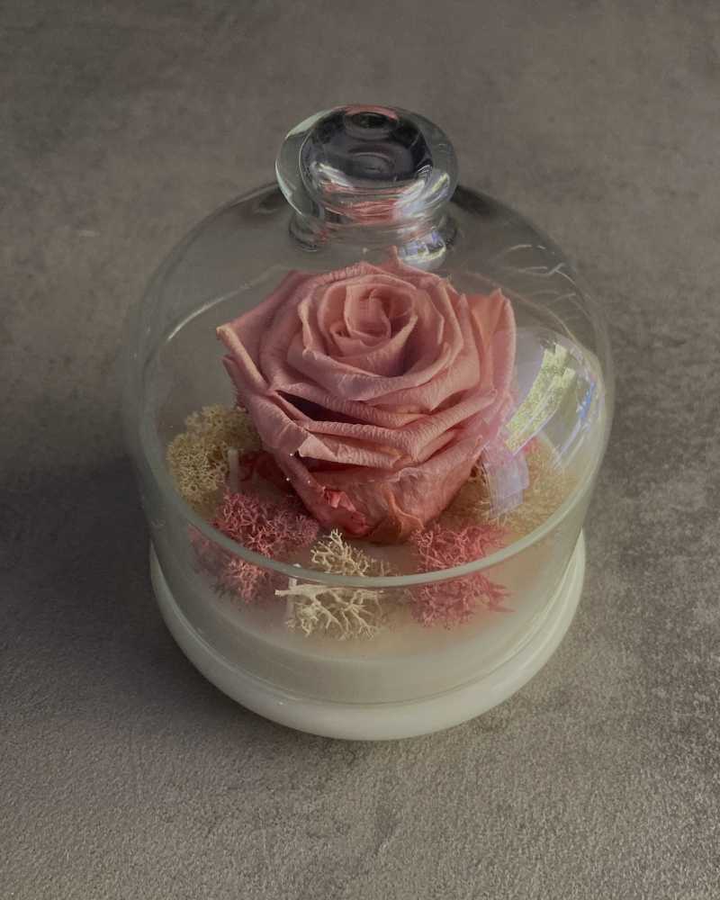 Candela artigianale in cera vegetale con rosa stabilizzata sotto campana di vetro – home decor luxury